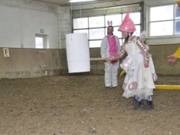 DSC_0285-2_web
